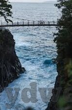 91麻豆app无限次数破解版-文章题名，聚焦91麻豆app无限次使用的网络现象与思考
