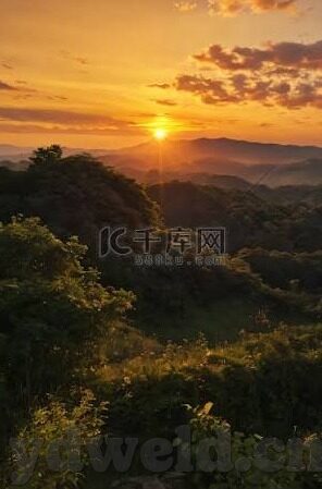 成人视频电影网-成人视频电影网，网络文化与个人选择的边界探索