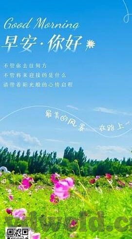 大象传媒视频网页版-探索大象传媒视频网页版，在线娱乐的新视界