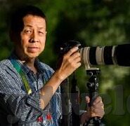 大象影视大象视频一二三四乱码-影视新视界，大象影视与大象视频的多元探索