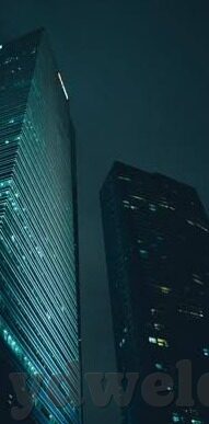 麻豆91原创视频-麻豆91原创视频的独特魅力和网络文化现象分析