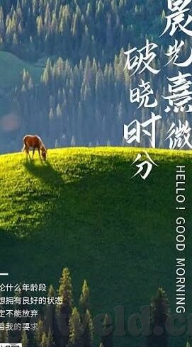 麻豆传媒app在线-别让性成为互联网的灰色地带——对麻豆传媒app在线现象的反思