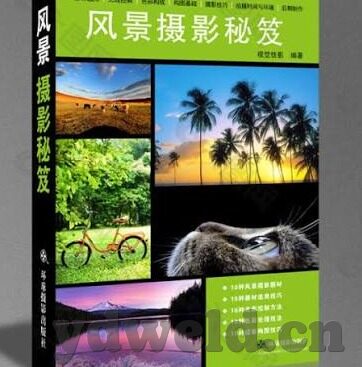 日韩影音先锋av 色-日韩影音文化，多元视角下的艺术与娱乐交融