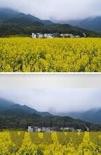 糖心的官网-秘境之旅，解锁糖心官网的梦幻窗口